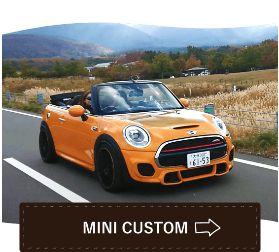 MINI CUSTOM